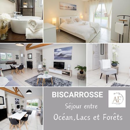Ravissante Maison Cosy 4* Biscarrosse Proche Lac Exterior foto